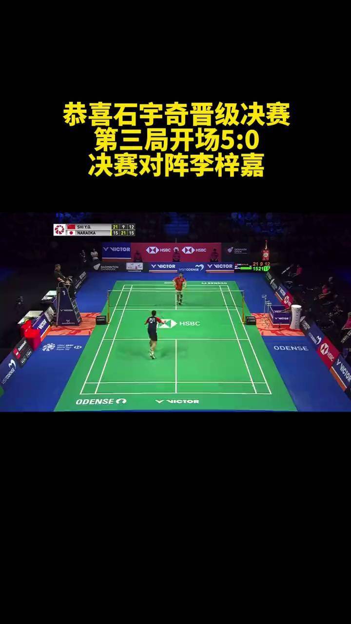 开云在线赛事平台-丹麦队力克德国队，李梓嘉刷新纪录