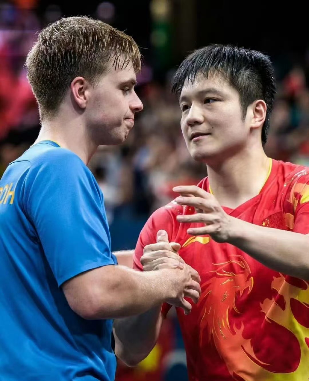 开云体育在线-瑞典乒乓球队力克法国乒乓球队，樊振东统治全场