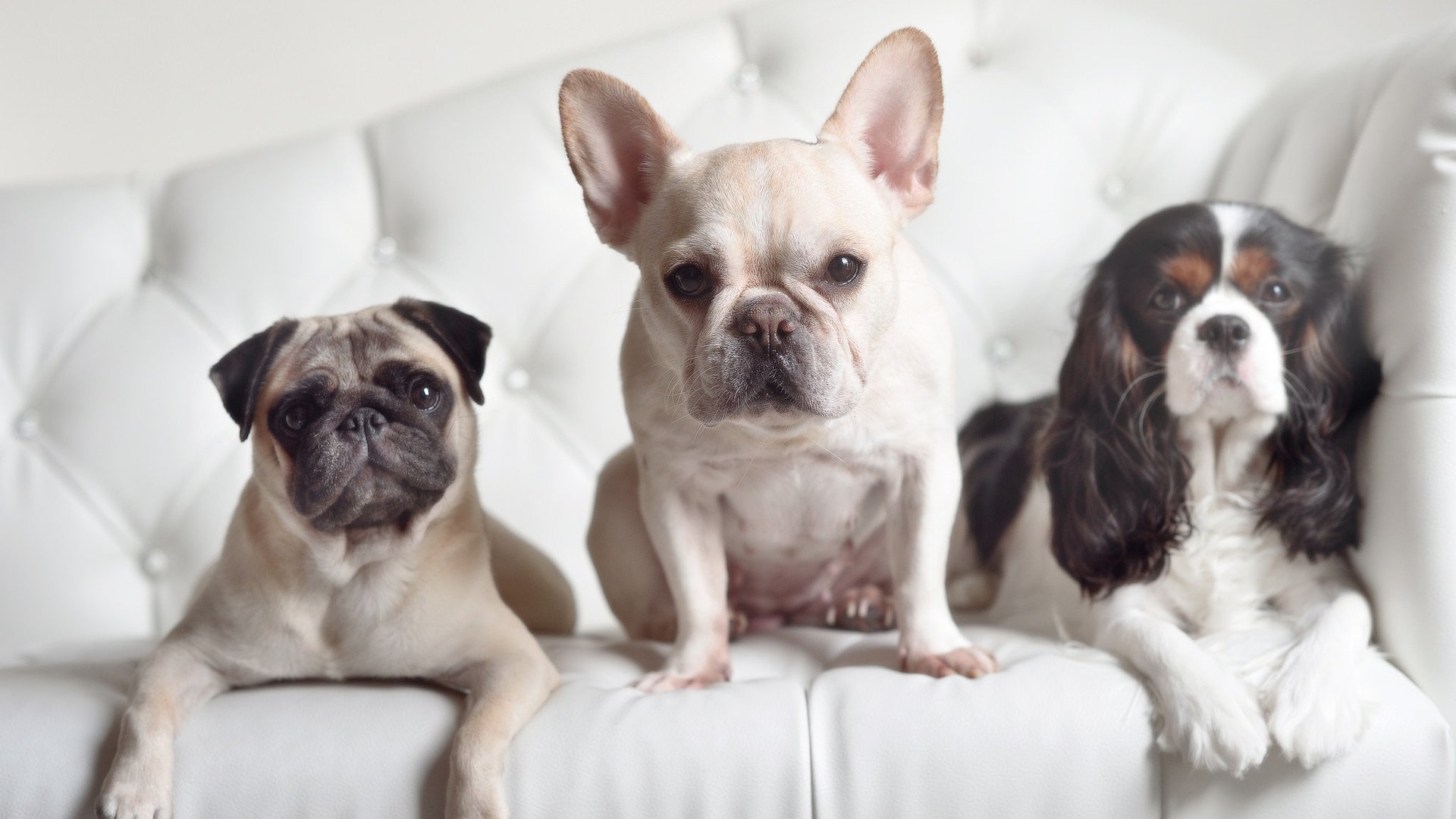 开云体育官方网站-跨界传奇，巴萨闪电战与阿克的总决赛接管—体育世界的唯一性瞬间