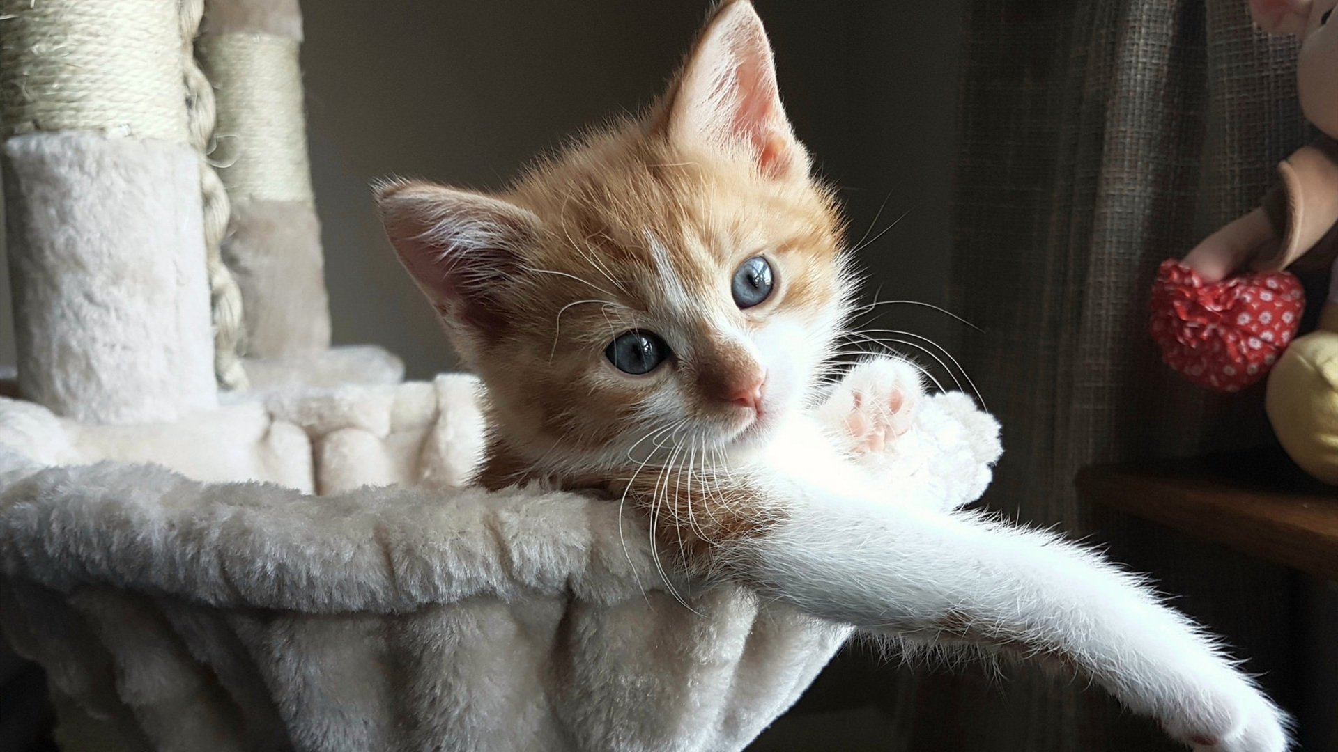 开云下载-意甲焦点战启示录，开拓者式决胜智慧如何带走雄鹿