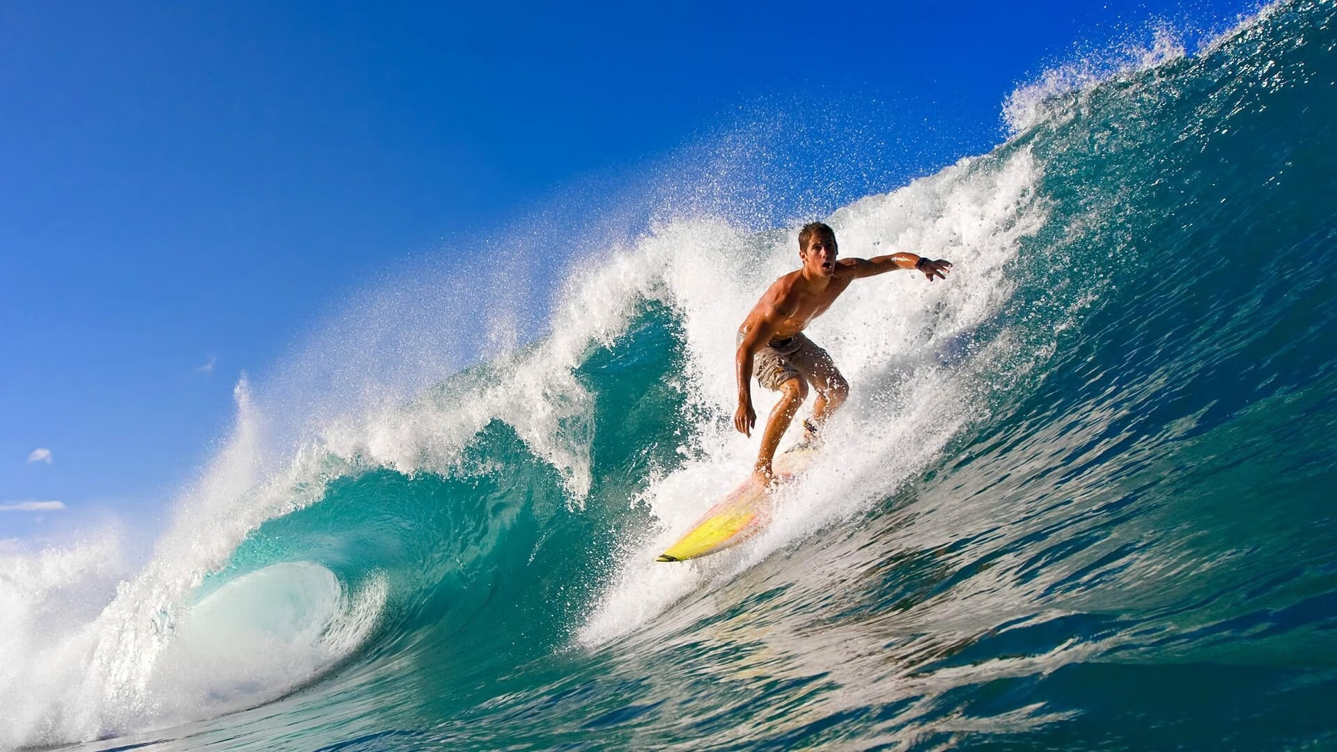 拉梅洛惊艳四座，篮网压哨绝杀森林狼，一场定义赛季的瞬间